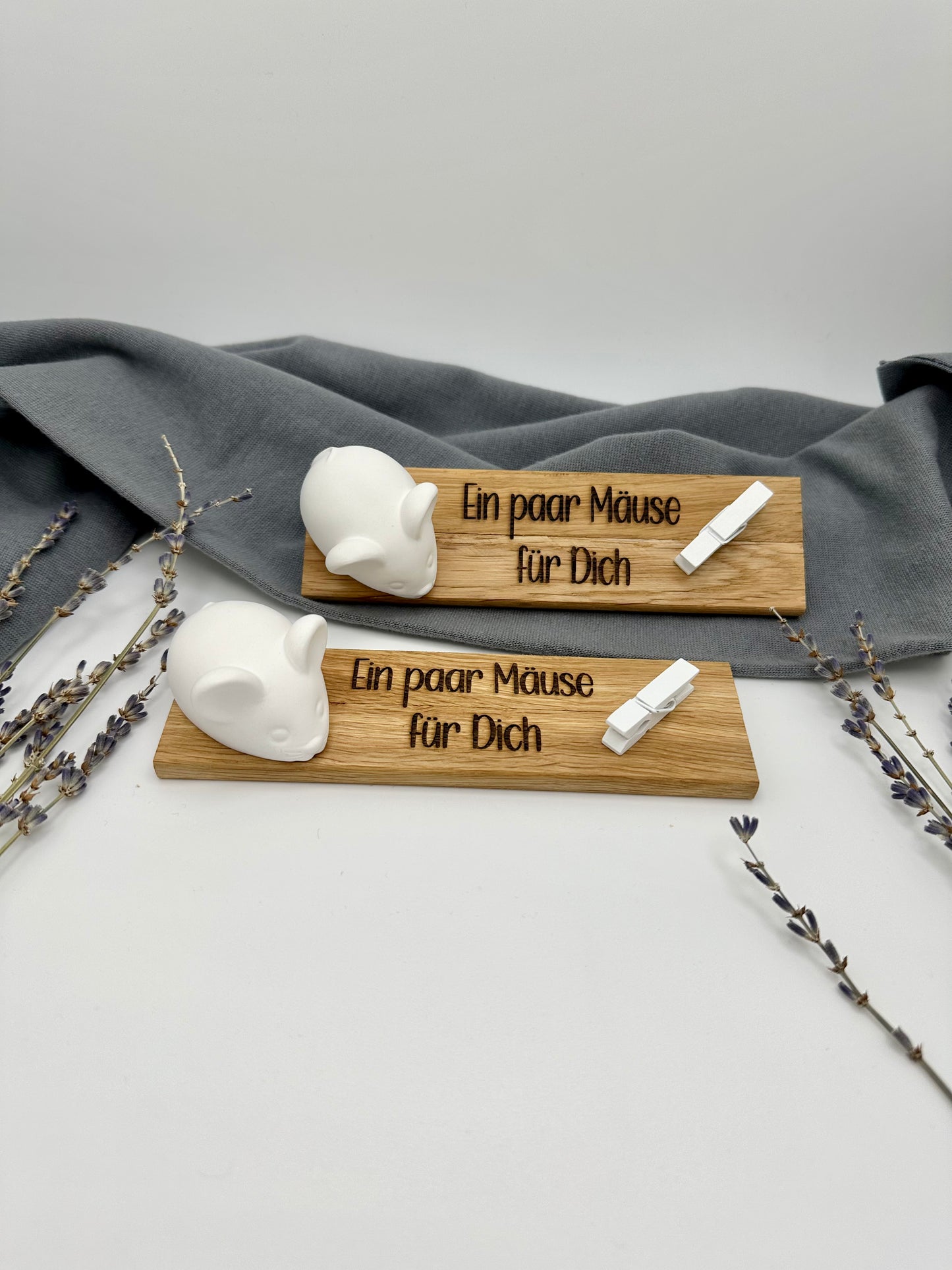 Geldgeschenk - Ein paar Mäuse für Dich
