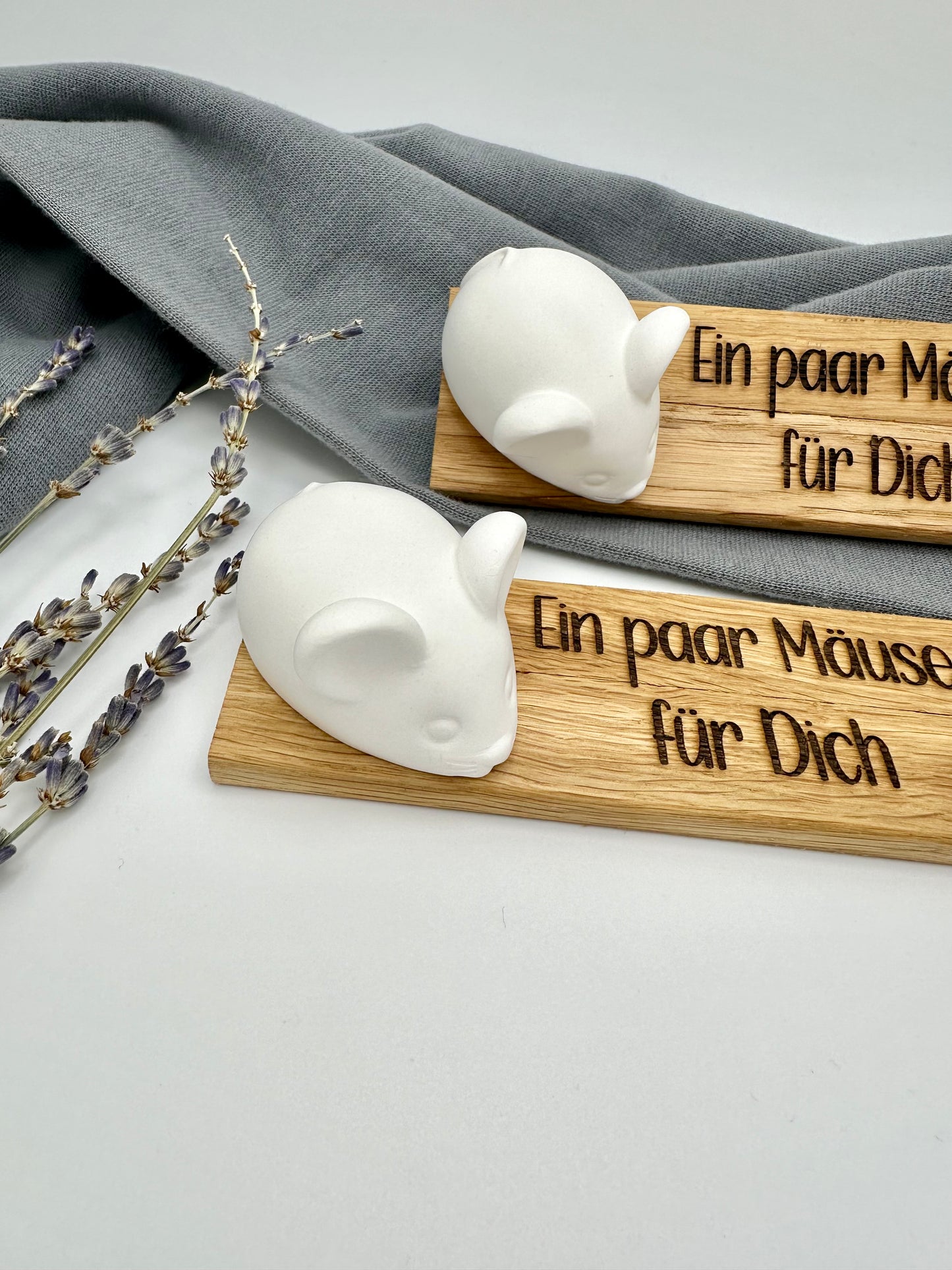 Geldgeschenk - ein paar Mäuse - Geschenkidee - Geburtstagsgeschenk - Geld verschenken