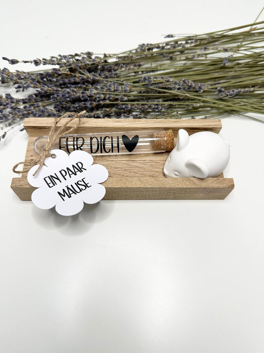 Geldgeschenk - Geschenk Reagenzglas - Wunscherfüller -  Geburtstagskleinigkeit - Mitbringsel - Ein paar Mäuse - Geburtstagsgeschenk